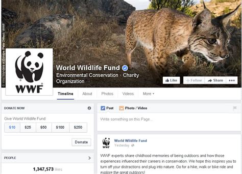 is world wildlife fund non profit|World Wildlife Fund, Inc. and Subsidiaries.